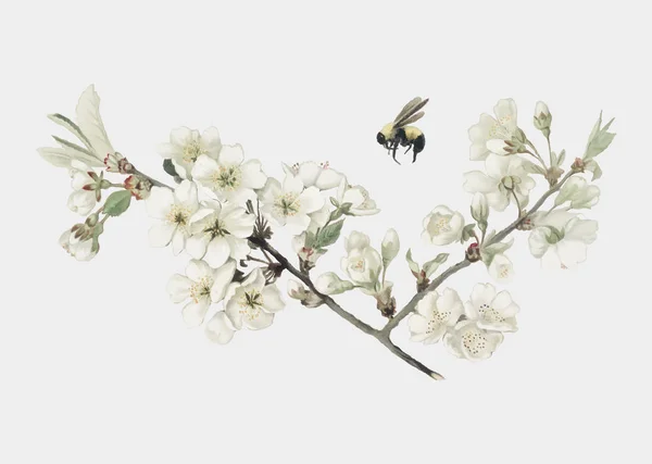 花や蝶を描いた中国絵画 Alliphonewallpapers Net — ストックベクタ
