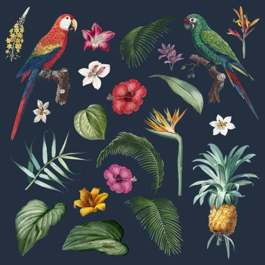 Elle çizilmiş bitkiler vektör