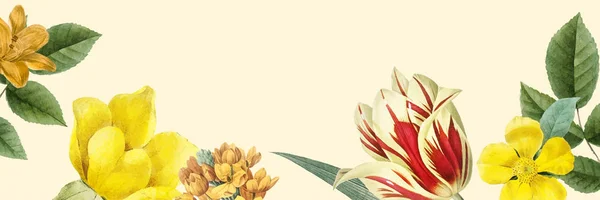 空白花卉框架设计理念 — 图库矢量图片