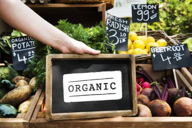 Taze Doğal Organik Ürün Konsepti