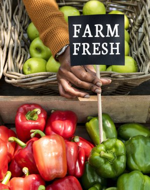 Taze Doğal Organik Ürün Konsepti