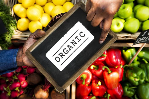 Fresh Natural Organic Product Concept — Stock Photo, Image
