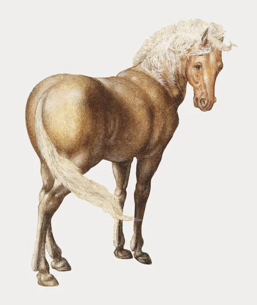 Vintage Cavalo Ilustração Conceito — Vetor de Stock