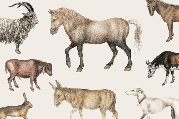 Набор Старинных Сельских Животных — стоковый вектор