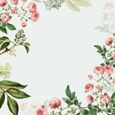 Klasik botanik çerçeve tasarım vektörü