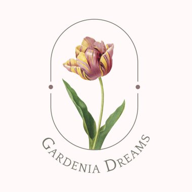 Gardenya rüya logo tasarım vektörü