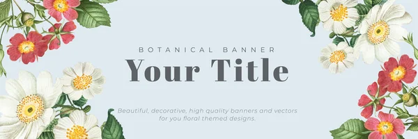 Vintage Βοτανικό Banner Σχεδιασμό Διάνυσμα — Διανυσματικό Αρχείο