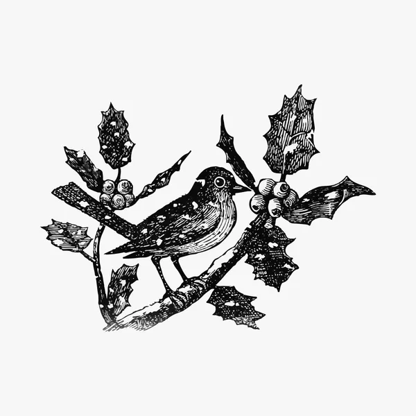 Vintage Winter Bird Etching Illustration — Stock Vector