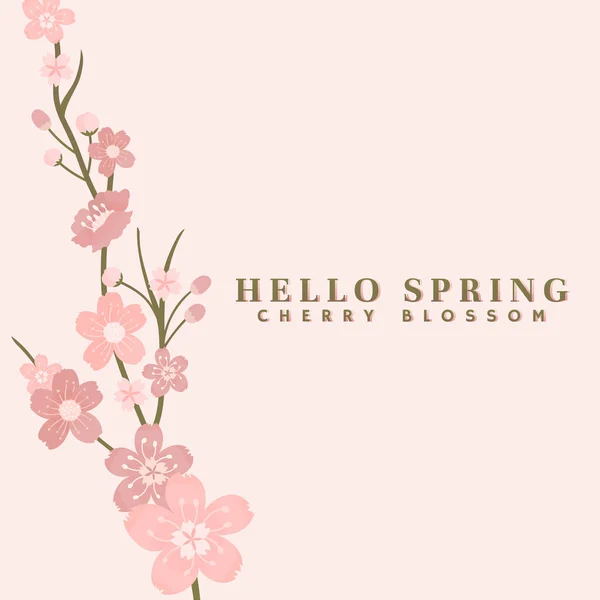 Pink Cherry Blossom Background Vector — Stock Vector