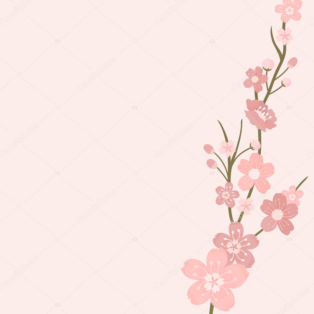 Pink cherry blossom blank background vectot