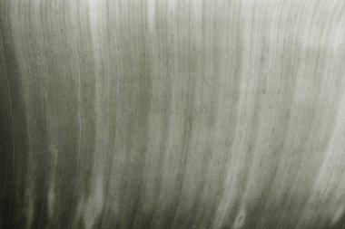 Büyük bir yaprak yakın çekim