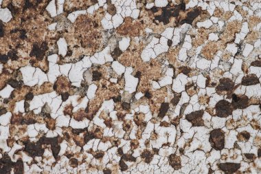 Paslı metal dokulu arka plan tasarım