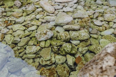 NET Durgun sular altında çakıl taşları