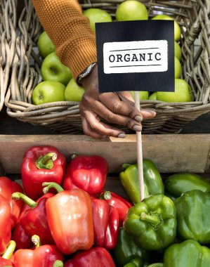 Taze Doğal Organik Ürün Konsepti