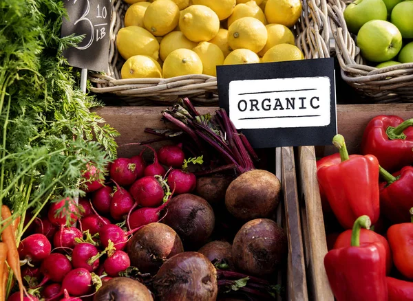 Fresh Natural Organic Product Concept — Stock Photo, Image