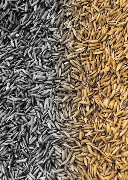 黒とオレンジの乾燥穀物背景 — ストック写真