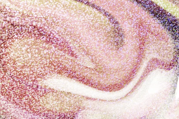 Pink Shimmering Glitter Textured Background — Stock Photo, Image