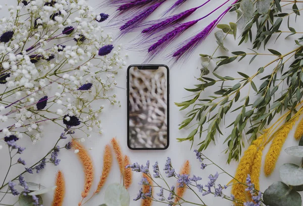 Telefoon Mockup Omlijst Met Een Bos Van Gedroogd Kleurrijke Bloemen — Stockfoto