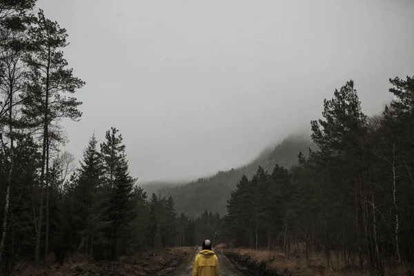 Bakifrån Kvinna Gul Vindjacka Stående Dimmig Skog — Stockfoto