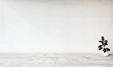 Beyaz boş oda, bitki duvarı mockup ile