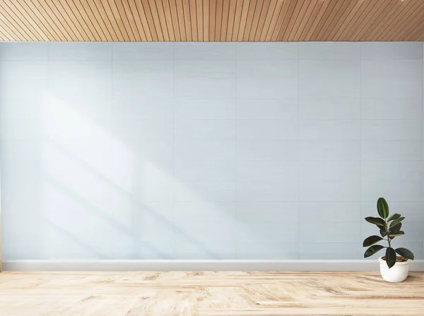 Planta Contra Una Maqueta Pared Azul — Foto de Stock