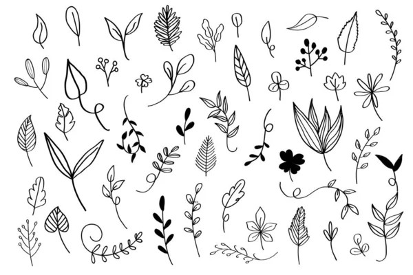 Διάφορα Φύλλα Doodle Συλλογή Διάνυσμα — Διανυσματικό Αρχείο