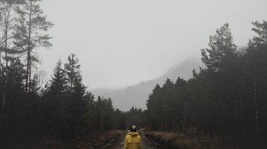 Rear view of a woman in a yellow windbreaker standing in a misty forest clipart