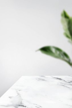 Yaprak ve beyaz mermer tablo ürün arka plan ile düz gri duvar