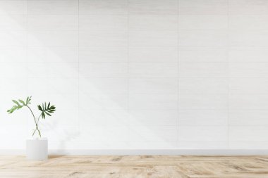 Beyaz duvar mockup karşı bitki