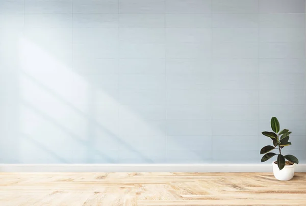 Planta Contra Una Maqueta Pared Azul — Foto de Stock