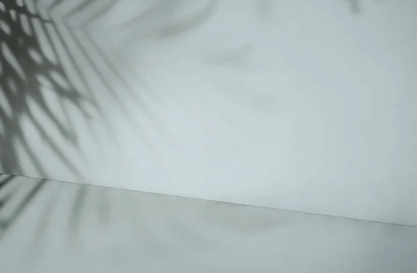 Порожній Інтер Тропічною Тіні Листя — стокове фото