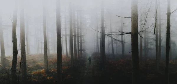 Man Lopen Het Mistige Bos — Stockfoto