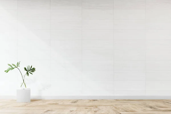 Planta Contra Una Maqueta Pared Blanca — Foto de Stock