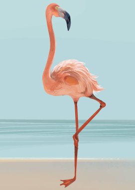 Plaj vektöründe pembe flamingo.