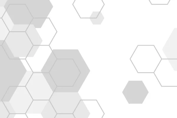 Gray Hexagon Geometric Pattern Background Vector — Stock Vector
