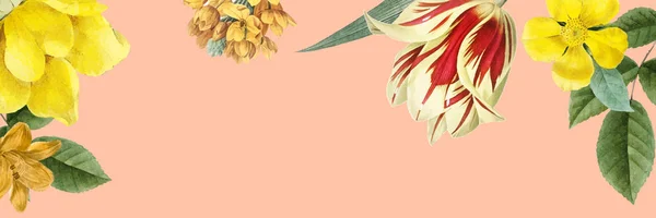 Κενό Banner Floral Σχεδιασμό Διάνυσμα — Διανυσματικό Αρχείο