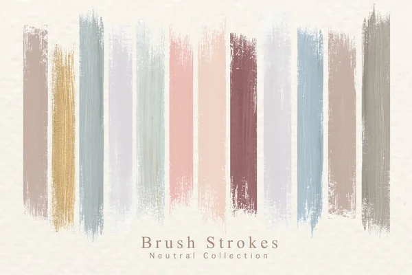 Brush Strokes Neutrala Samling Vektor — Stock vektor