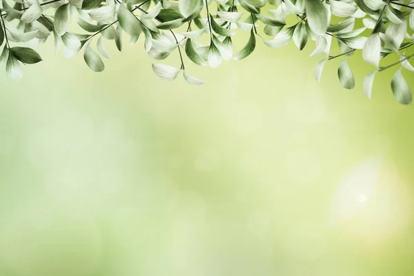 Grüne Blätter Rand Auf Einem Leeren Grünen Hintergrund — Stockfoto