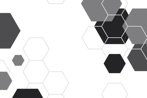 Black White Hexagon Geometric Patterned Background Vector — Stock Vector