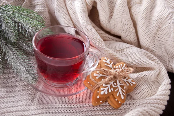 自家製クリスマス クッキー雪 茶白のカップ ニット格子縞 — ストック写真
