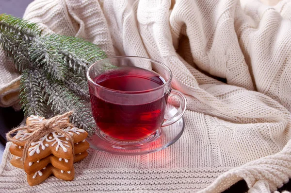 Homemade Christmas Cookies Snowflakes Cup Tea White Knitted Plaid — Stock Photo, Image