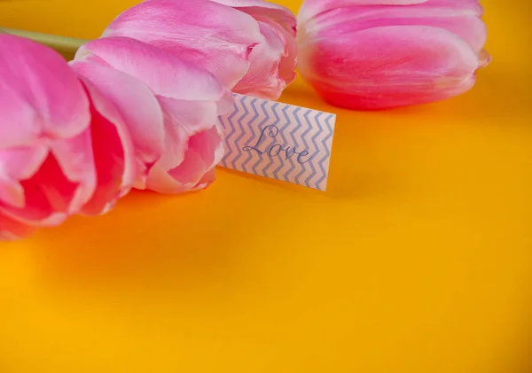 Tulipani rosa sullo sfondo giallo con nota amore lettera. Copia spazio . — Foto Stock