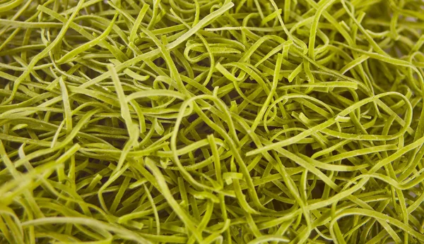 Groene vegetarische vermicelli. groene vegetarische pasta. Vegetarisch gezonde voeding. Close-up. — Stockfoto