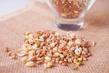 kahverengi peçeteye sağlıklı gıda çiğ filizlenmiş tahıl mikrop