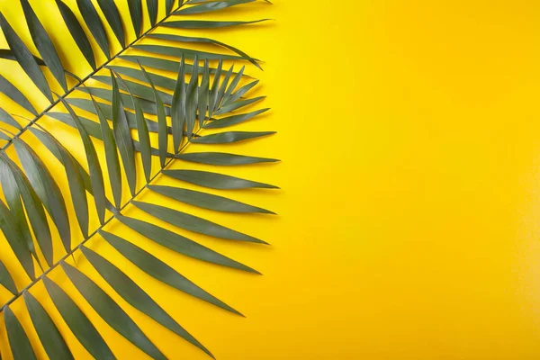 Tropical leaves on yellow background. minimal concept. Flat lay. Copy space. — Stock Photo, Image