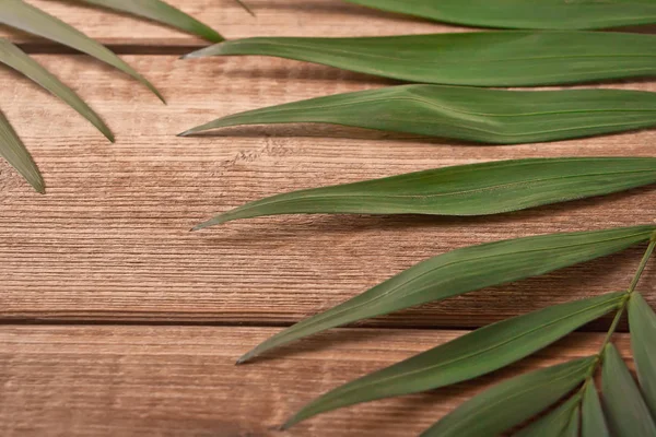 Tropical exotic palm leaves on wooden table. Copy space. — Stock Photo, Image