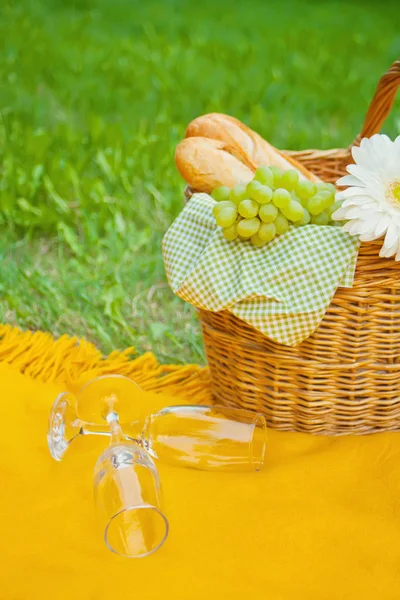 Close-up van wijn glazen op de gele cover, picknickmand met voedsel en bloem op het groene gras — Stockfoto