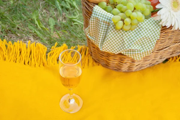 Close-up van wijn platen op de gele cover, picknickmand met voedsel en bloem op het groene gras — Stockfoto