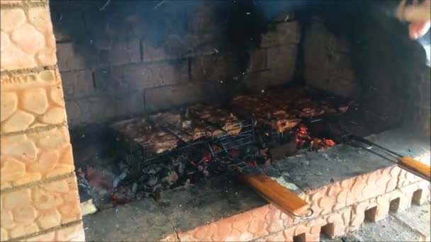 Trozos Carne Cerdo Cordero Pollo Fríen Una Parrilla Carbón Mangal — Vídeo de stock