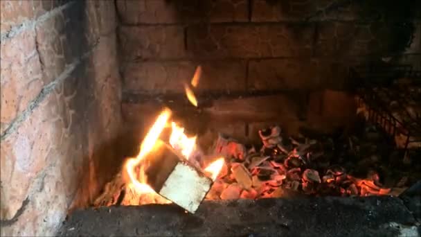 Flamme Steigt Aus Brennendem Holz Und Holzkohle Einem Mangal — Stockvideo